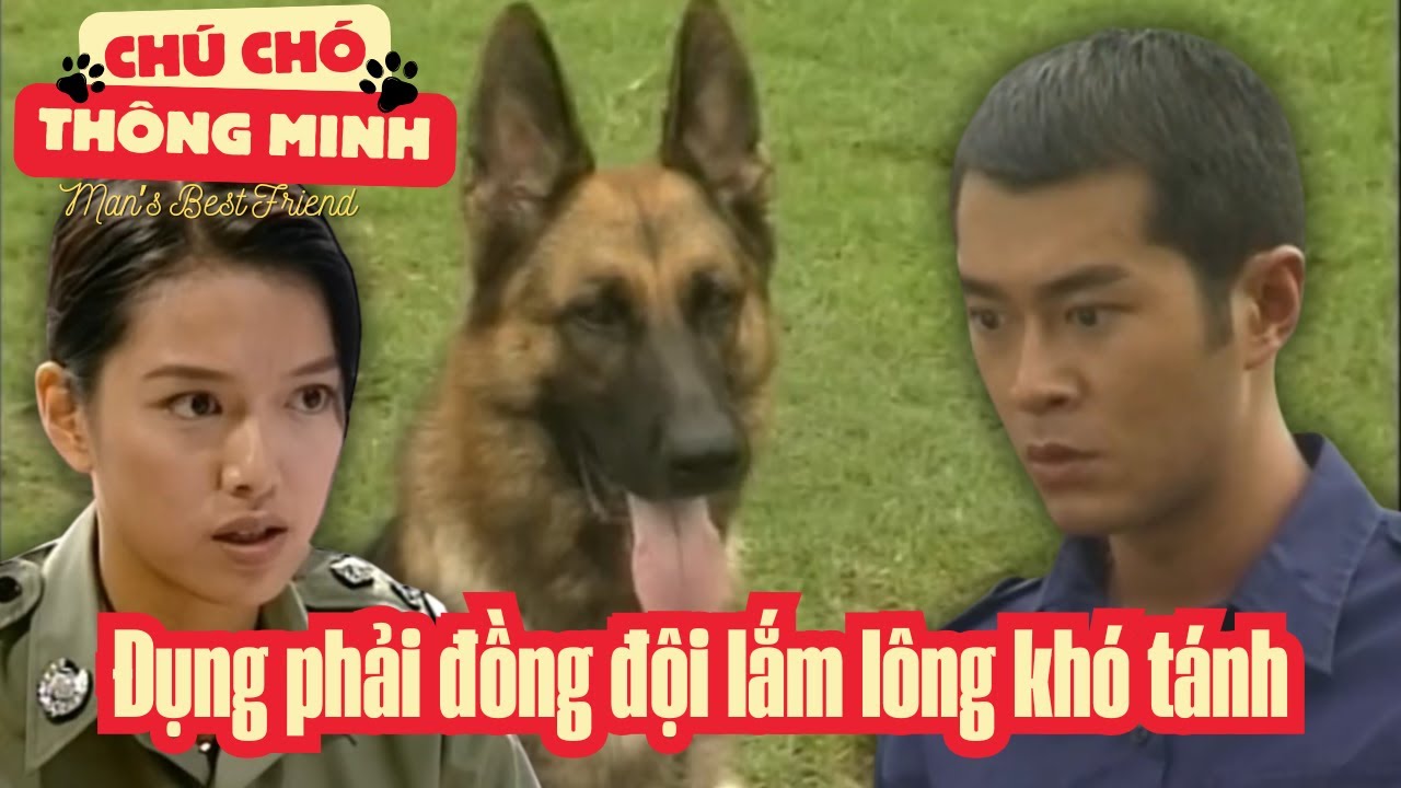 Chú Chó Thông Minh cắt tập 2_Đụng phải đồng đội lắm lông khó tánh