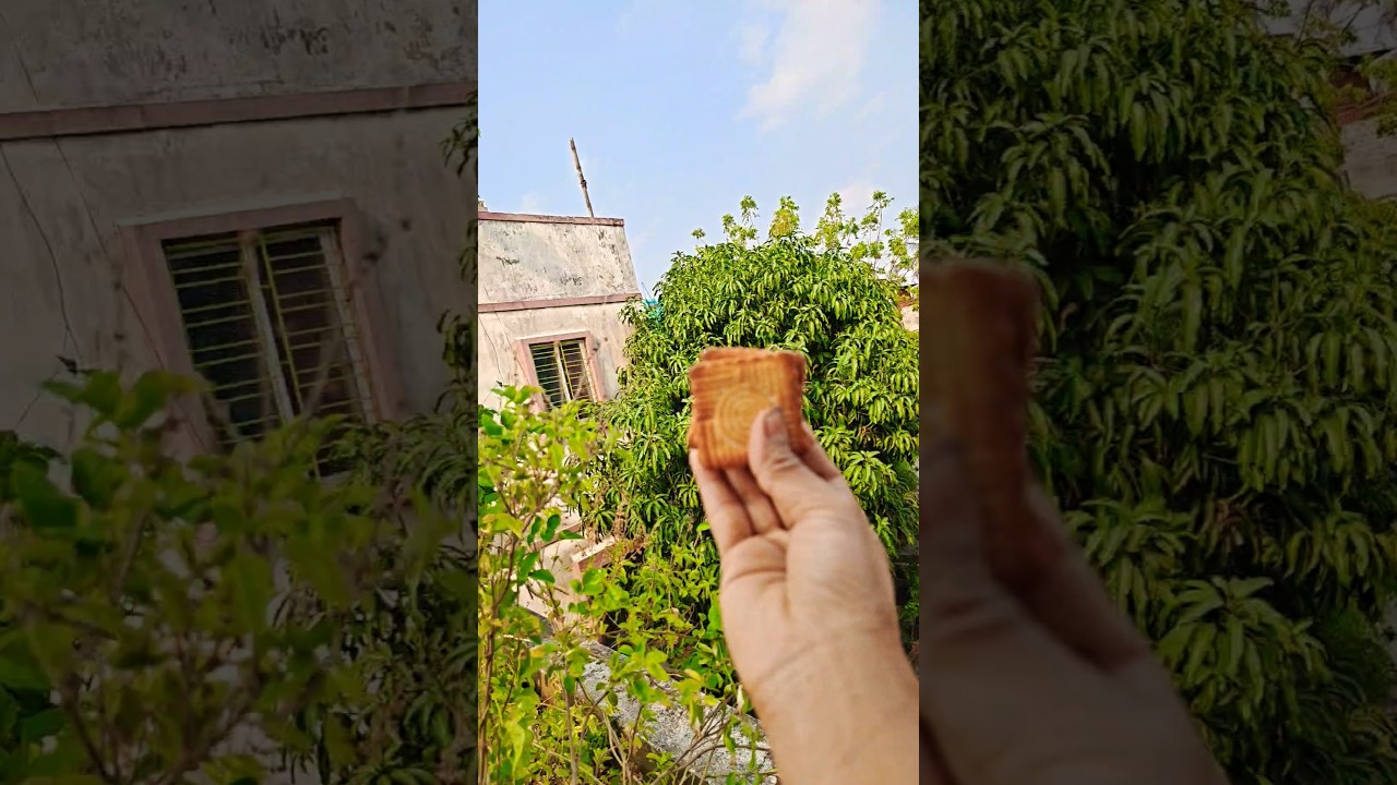 Unexpected Food 🍟🍭🍬🧃Prank😘😘