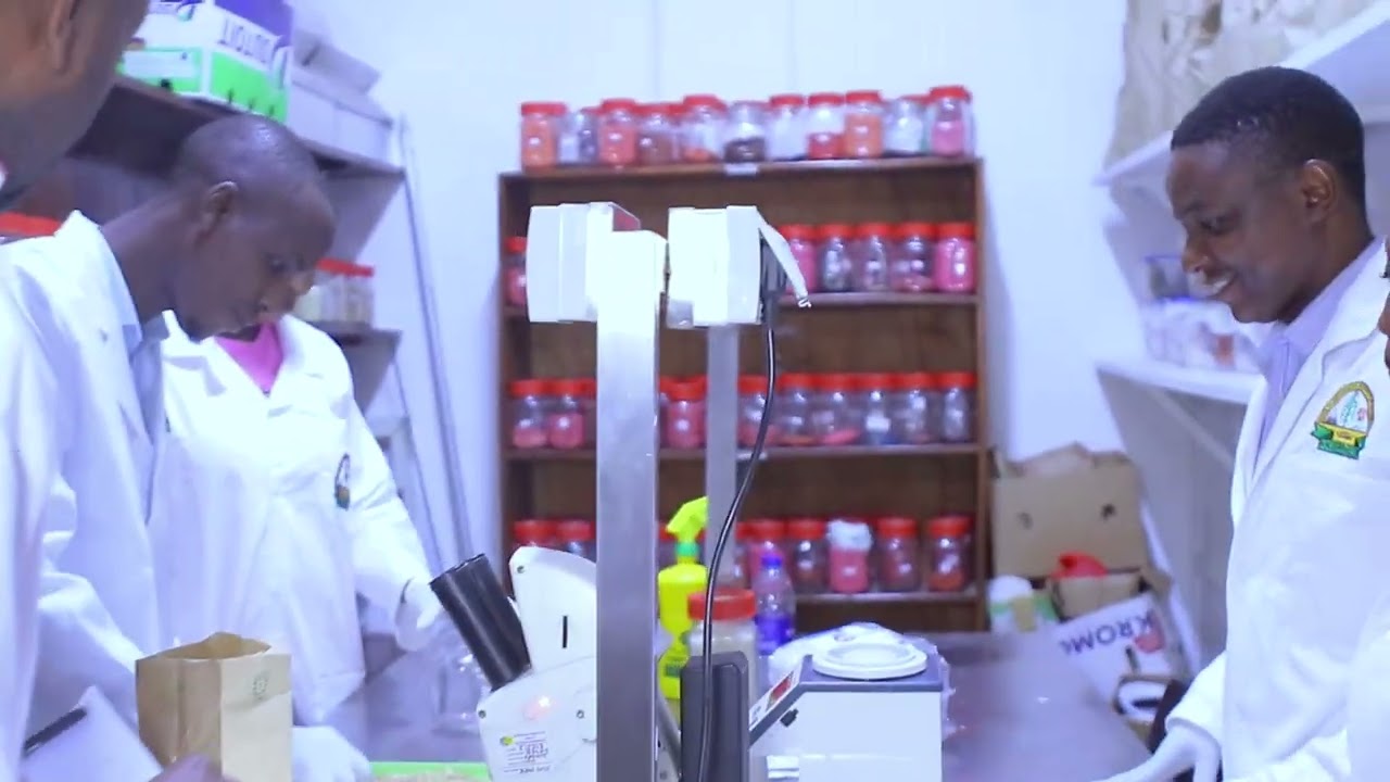 Ensuring Safe Trade: KEPHIS Mombasa Laboratory at Work