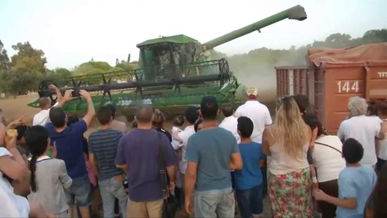 שבועות 2015 בקיבוץ נחל עוז