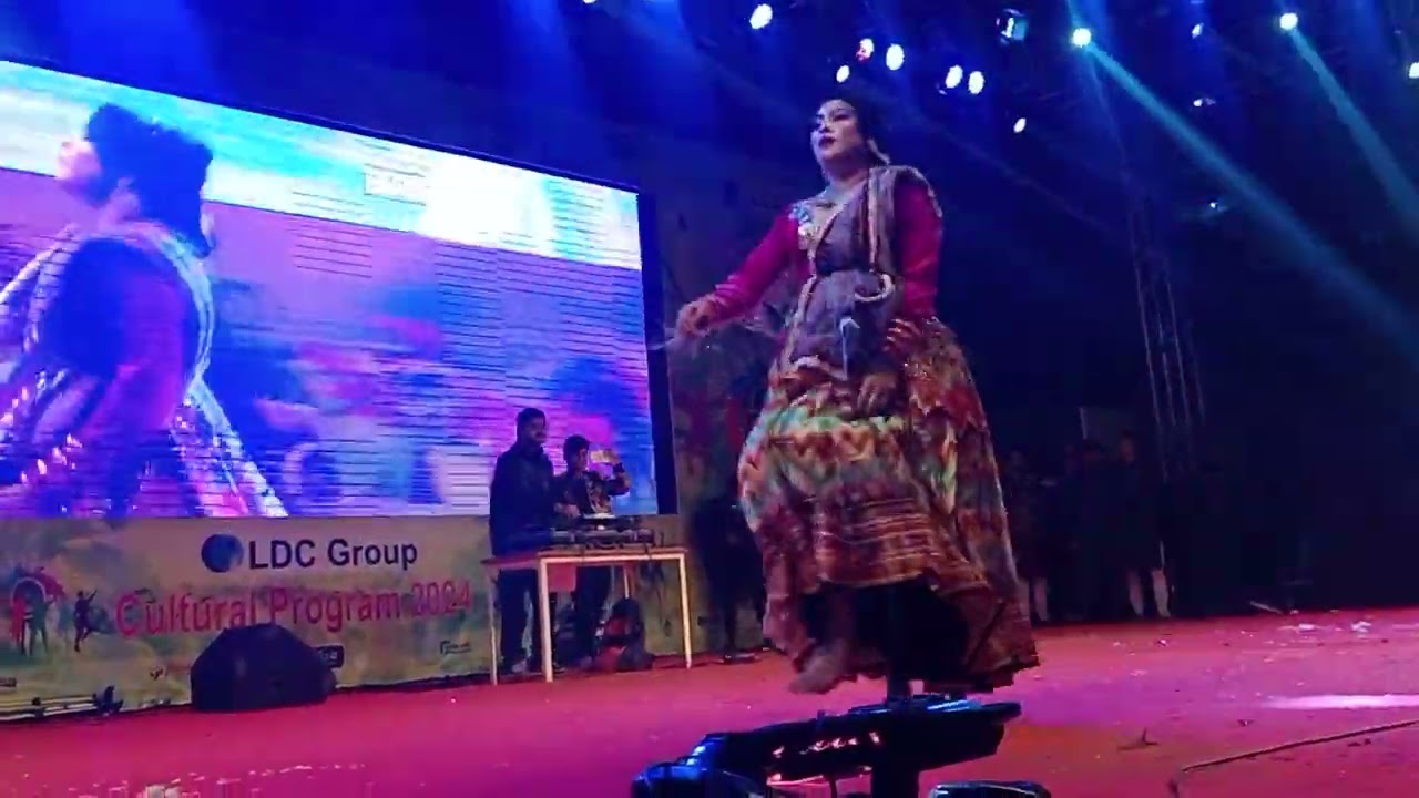 LDC GROUP CULTURAL PROGRAMME 2024 Stage Dane