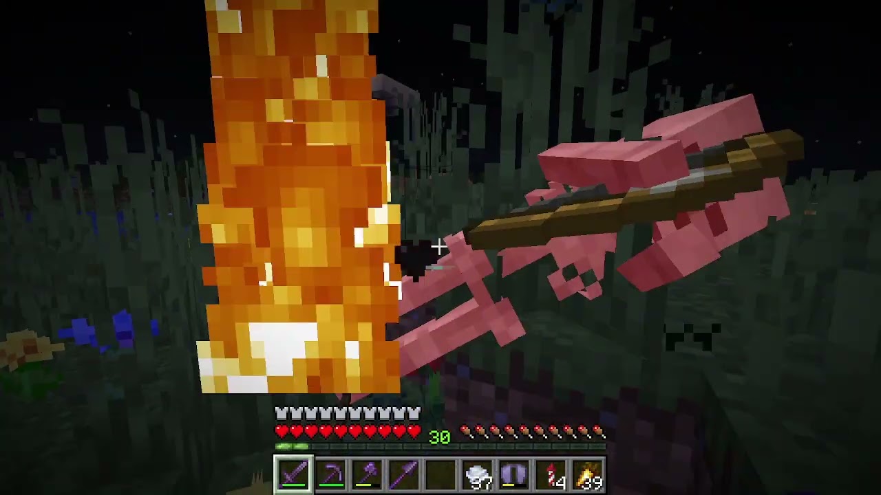 Minecraft Survival series world I forgot was a series XD