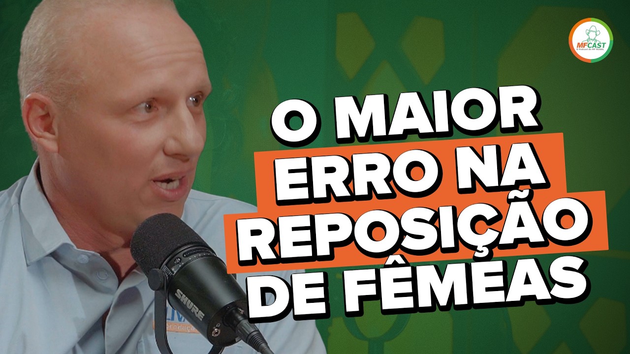 O ERRO QUE PREJUDICA A REPOSIÇÃO E DESVALORIZA O REBANHO - MF CAST #15