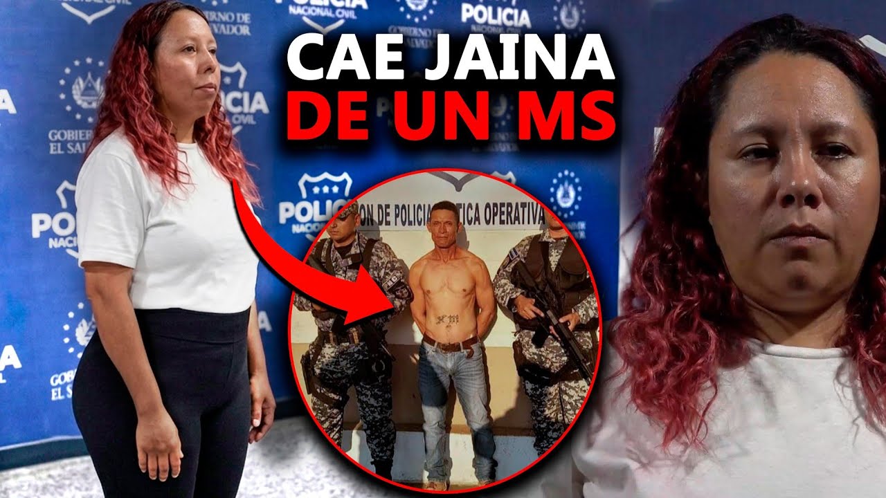 Cae peligrosa Jaina encargada de cobrar la renta en las Margaritas 