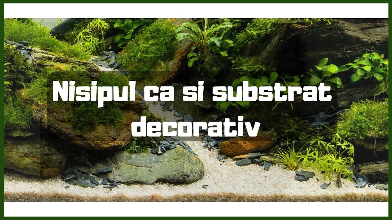 Nisipul ca si substrat decorativ
