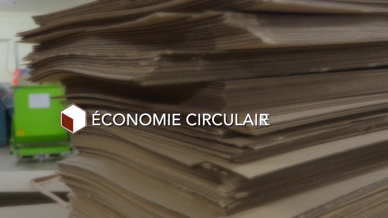 Isolation fibre de carton NOVIDEM