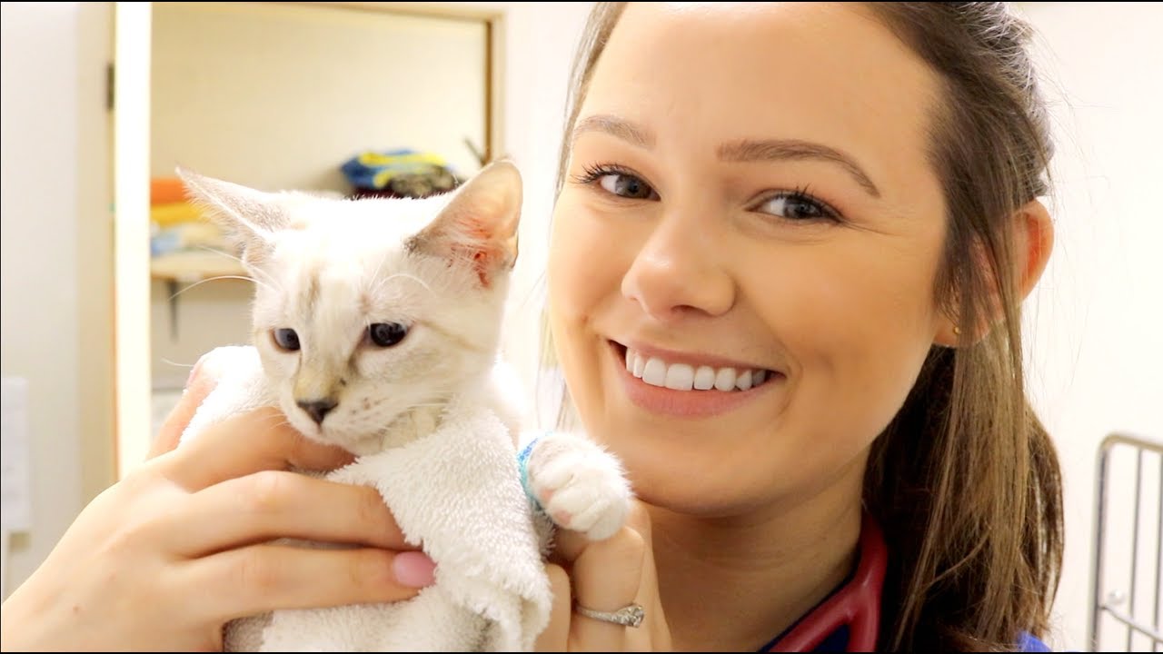 Evening Routine Of A Veterinary Nurse | Veterinary Vlog#30