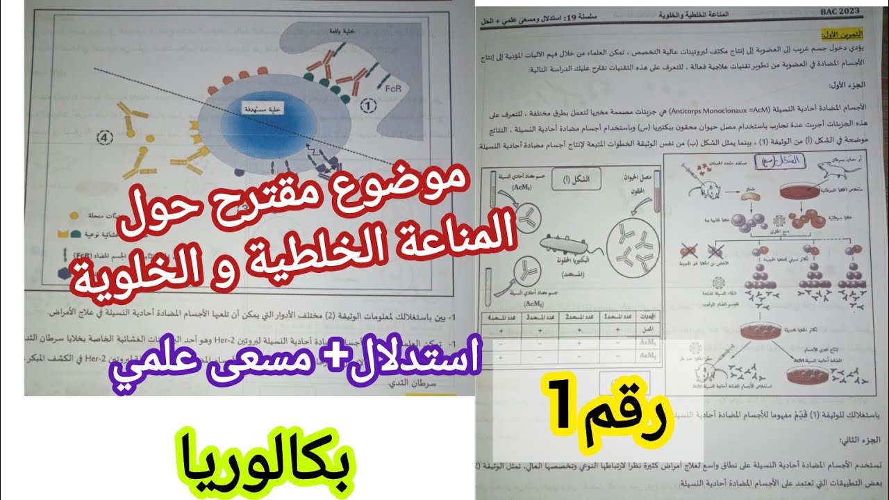 موضوع مقترح حول {المناعة الخلطية و الخلوية}/ (استدلال+ مسعى علمي)للسنة 3 ثانوي [رقم 1]