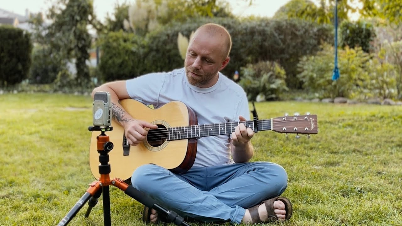 Gute Nacht Freunde - Reinhard Mey Cover