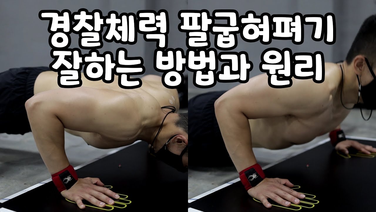 경찰체력 팔굽혀펴기 잘하는 방법과 원리