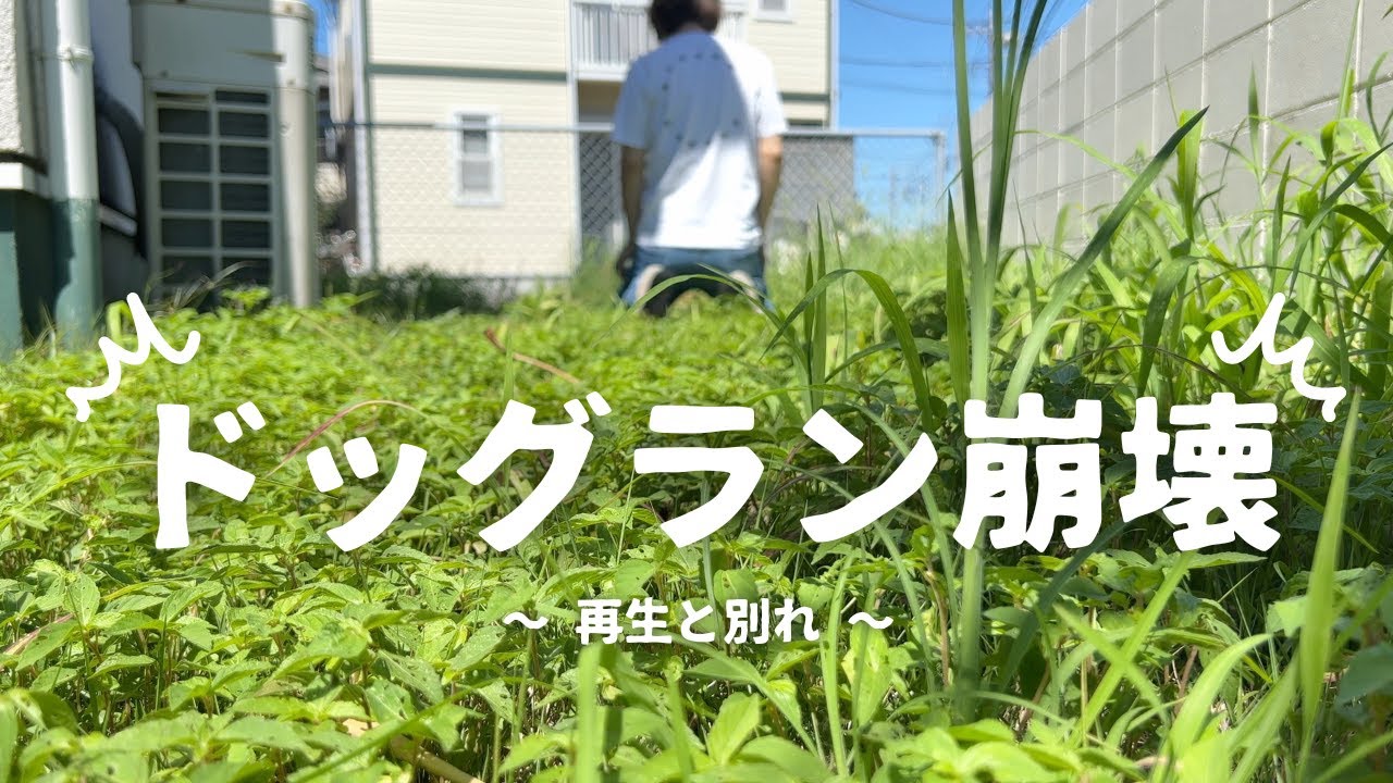 【衝撃】ドッグラン崩壊！そして悲しい別れ…サファリパーク化したドッグランを蘇らせる！/ 凸凹アテレコトイプードル