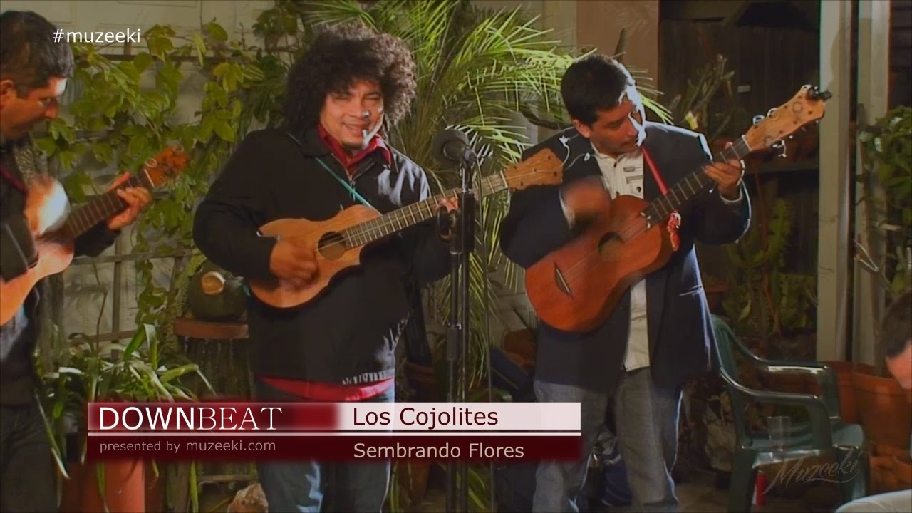 COJOLITES SEMBRANDO FLORES