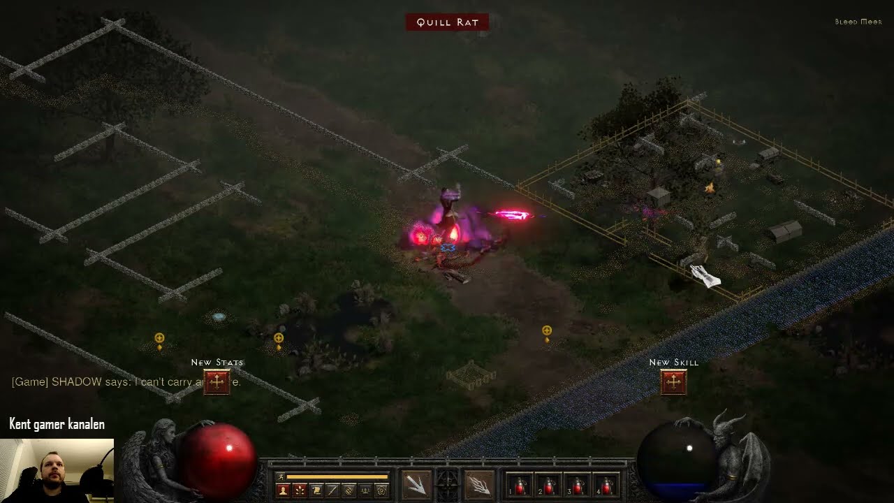 Diablo II Resurrected WARLOCK SHADOW HARDCORE DEAD 1 (dansk tale)
