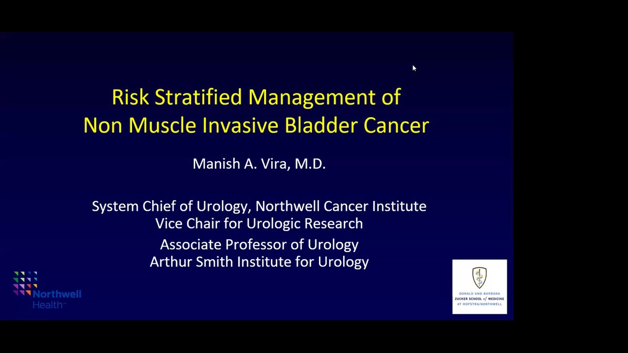 Risk Stratified Management of nMIBC - EMPIRE Urology Lecture Series