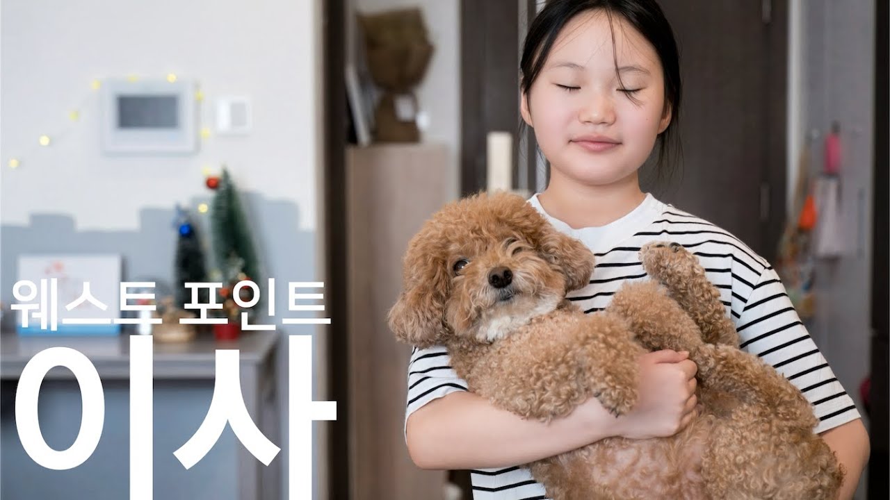 (한/영 자막) 집 소개 영상 촬영 중, 학교에서 온 한 통의 이메일