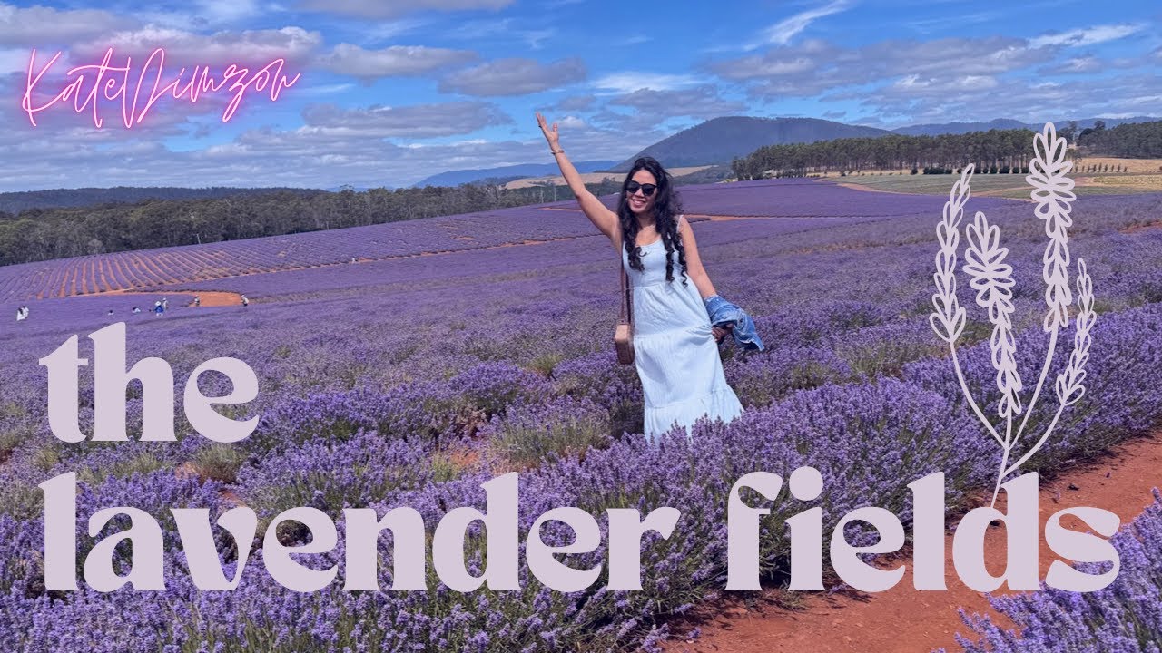 THE LAVENDER FARM IN TASMANIA