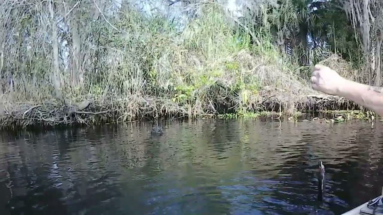 1-22-26 St Johns River