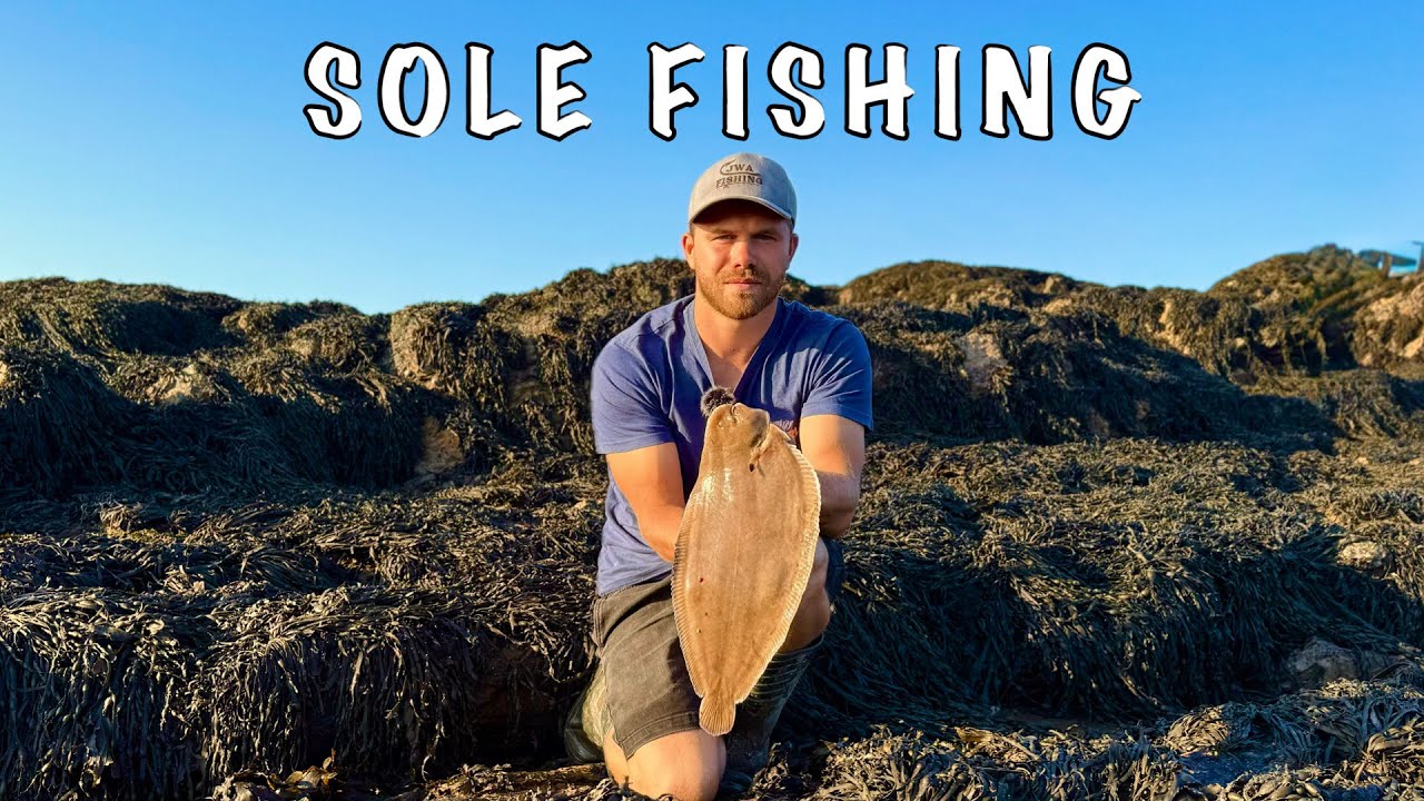 After Work Sessions On The Bristol Channel || Sole Fishing || Battery Point Fishing