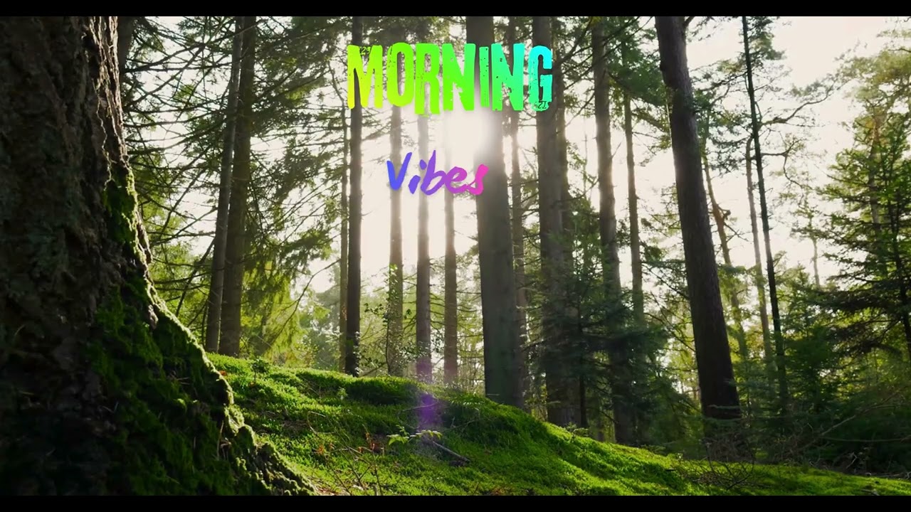 Morning Forest Lofi 🌿 | Calm Chill Beats for Fresh Start | lofi 