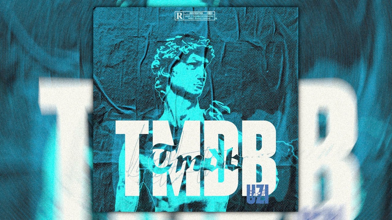 Uzi - TMDB (prod. Skibovicz) [Official Audio]