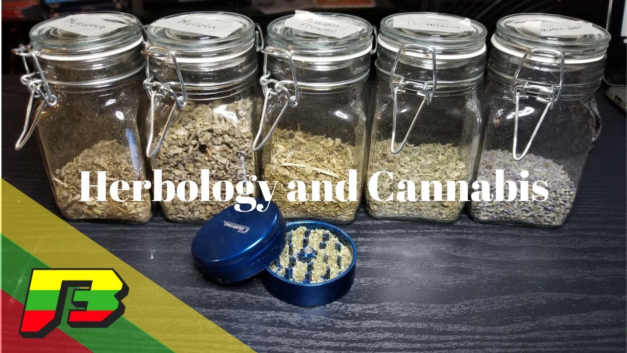 Mixing Herbology with Cannabis | BammerTV