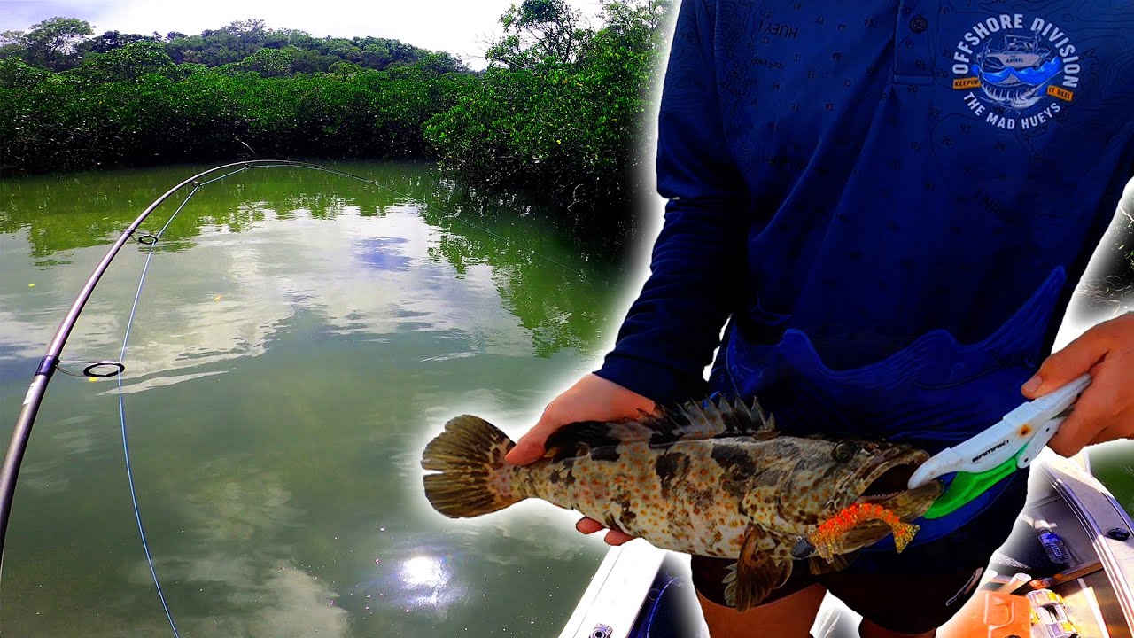 INSHORE REEF FISHING AND SKIPCASTING THE GREAT SANDY STRAITS KGARI