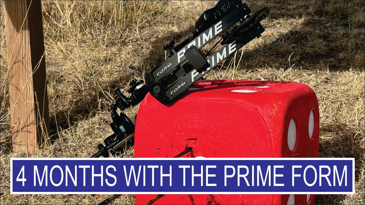 Обзор Prime Form за 4 месяца