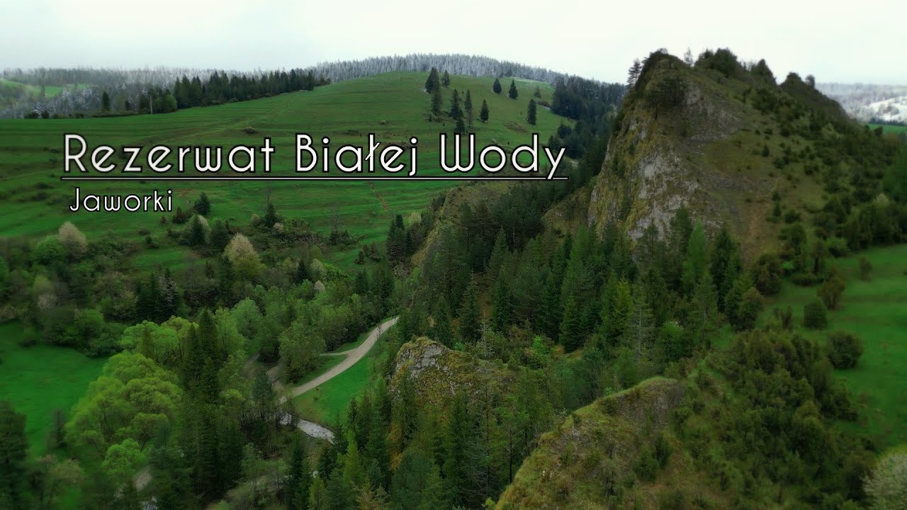 Rezerwat Białej Wody - Jaworki