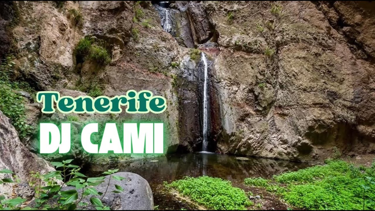 Dj Camitenerife set 16#music #dj #tenerifeisland #remix #set #djremix #djset 