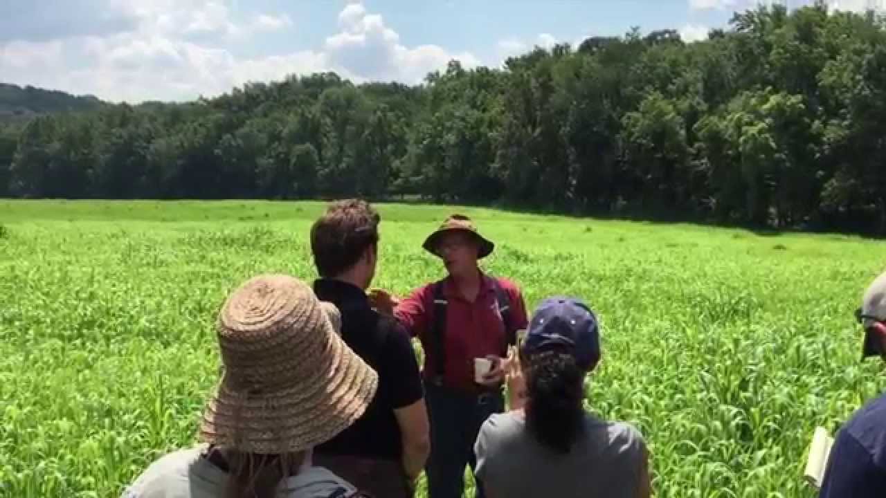 Joel Salatin talks pasture cropping