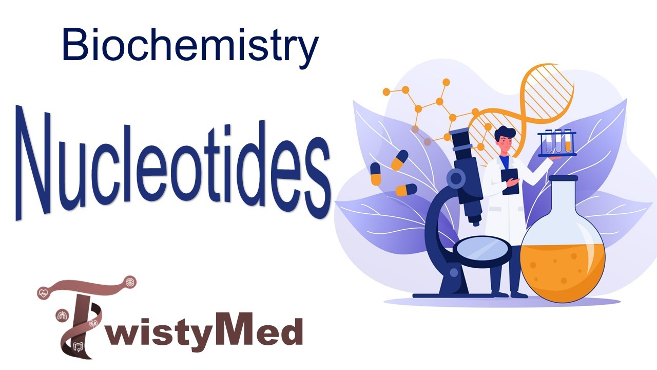 Nucleotides | Lecture 1 & 2