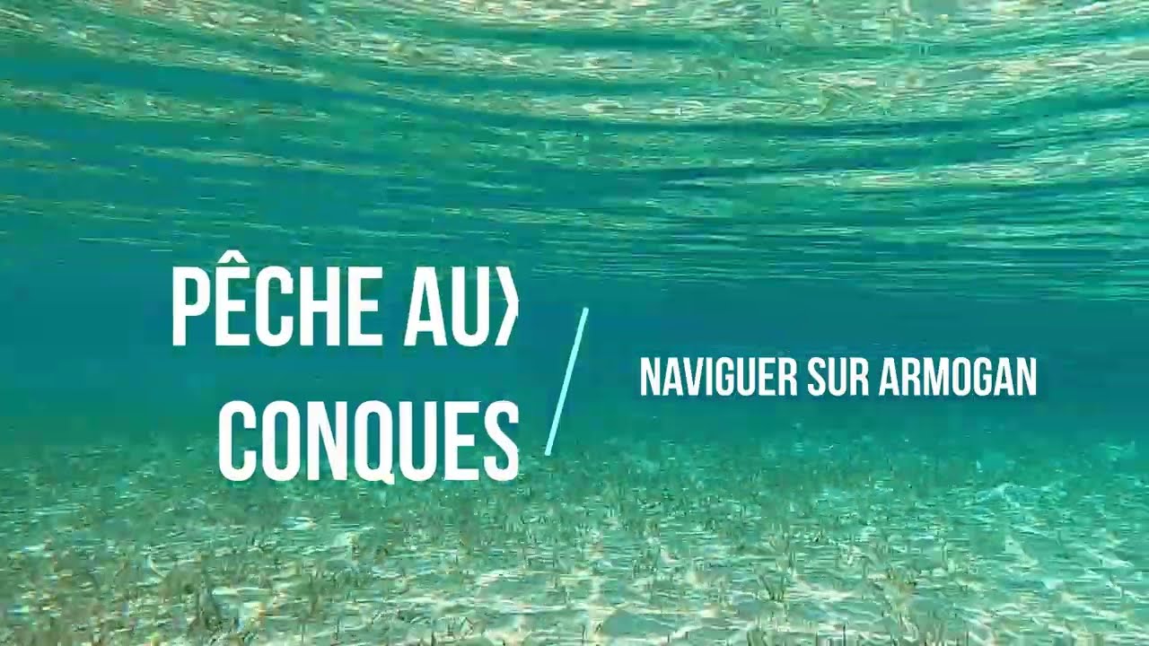 Pêche aux conques