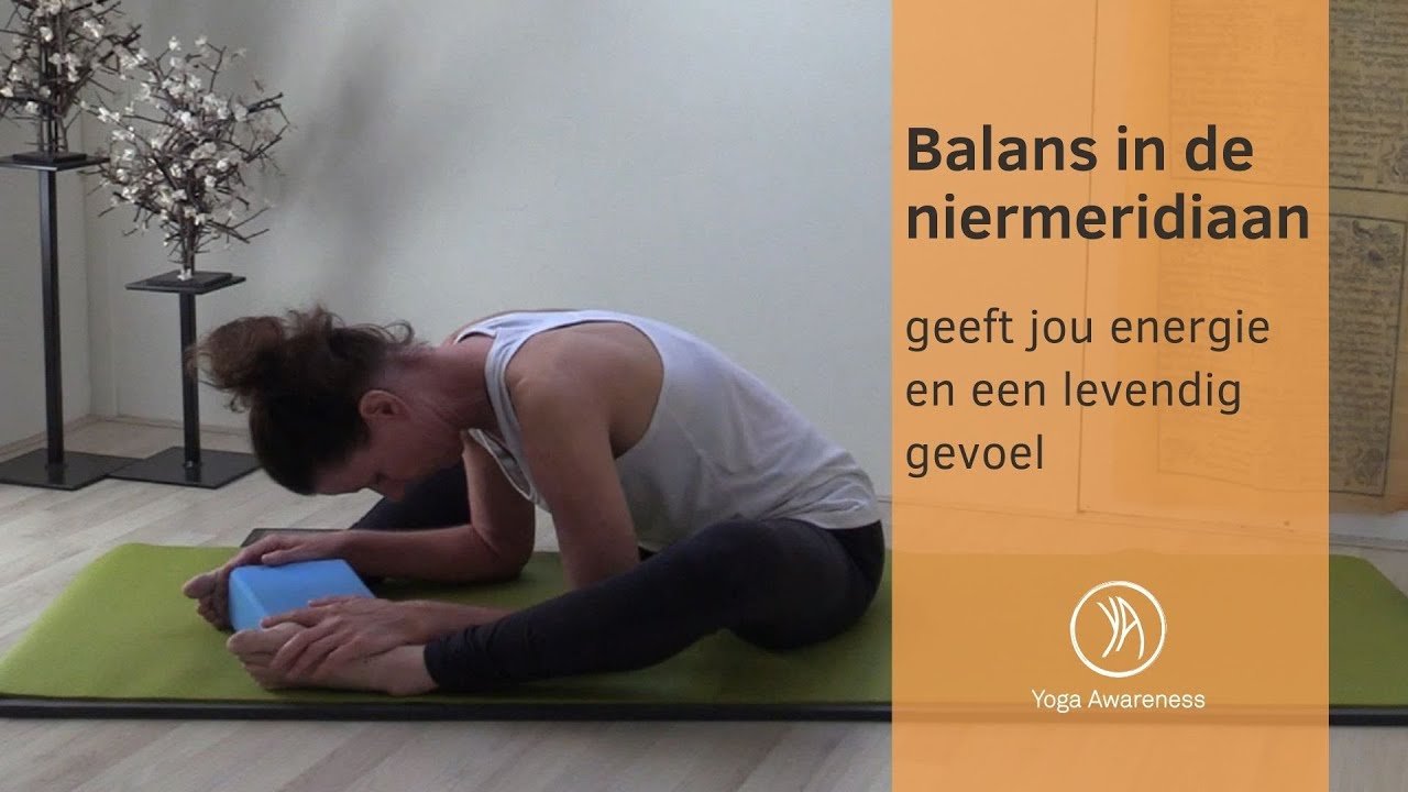 YIN - Nier- en blaasmeridiaan