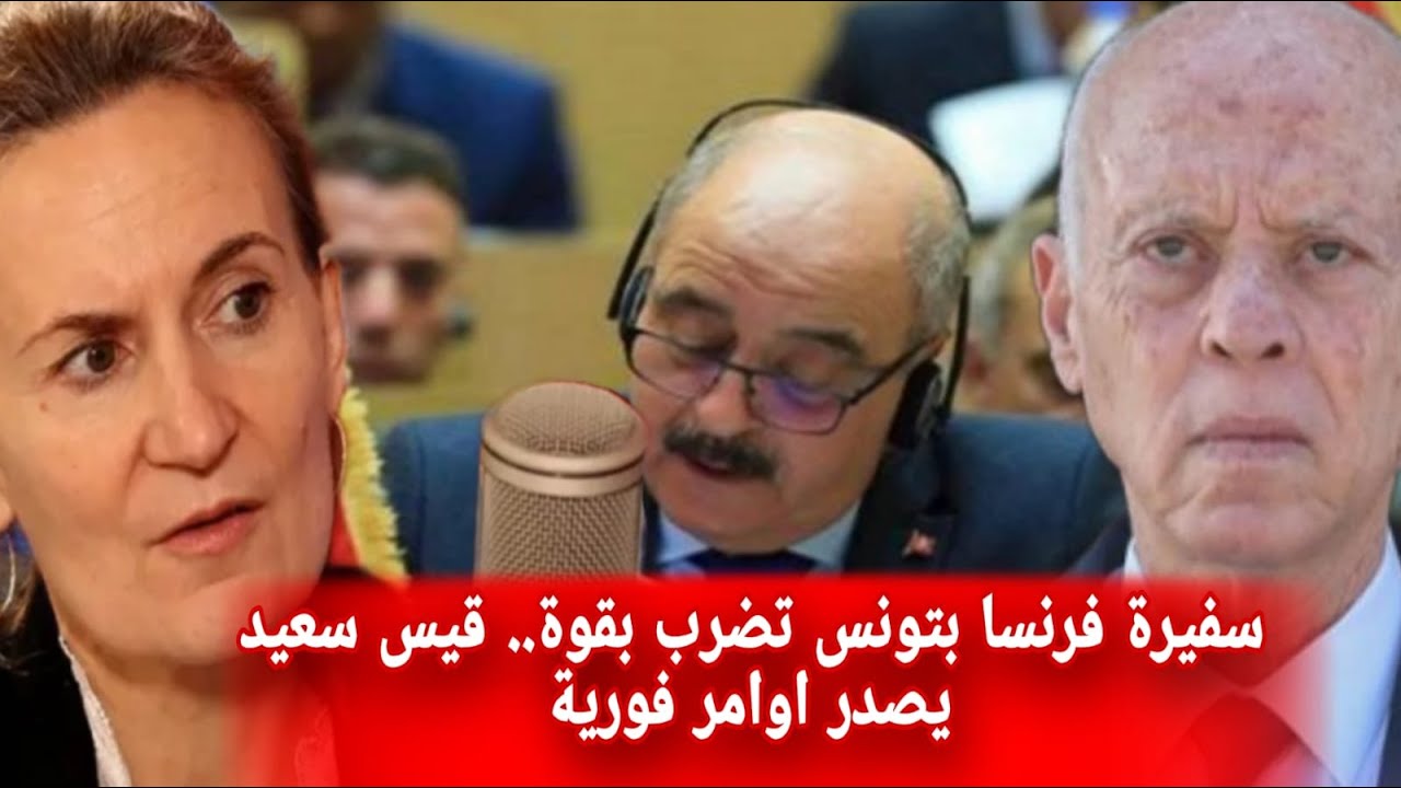 🚨 سفيرة فرنسا بتونس تضرب بقوة وتزف بشرى للتونسيين.. قيس سعيد يأمر وزير الخارجية بهذه الاوامر فورا