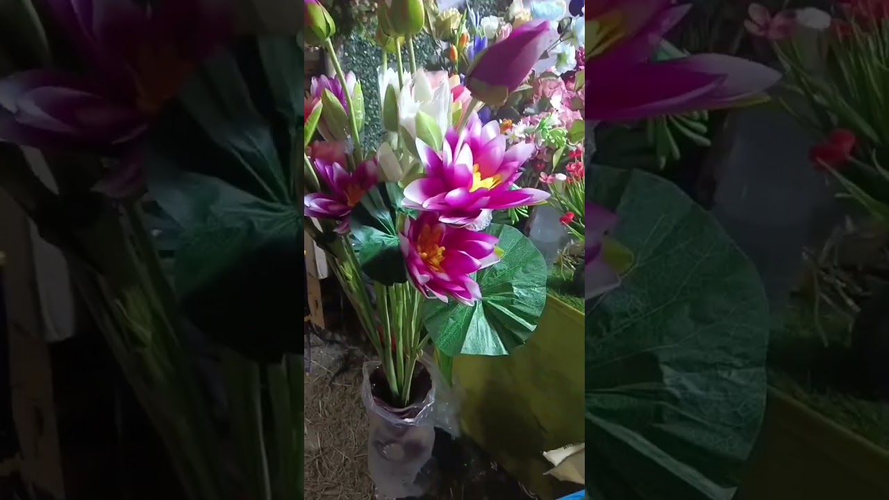 AMRA KOBORDANGA MELA GHURE ALAM