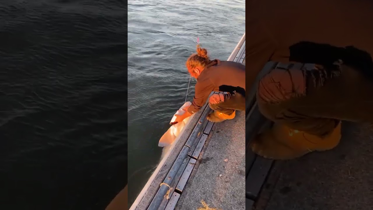 Huge fish comes off at shore #fishing #funny #fish #shorts #shortvideo