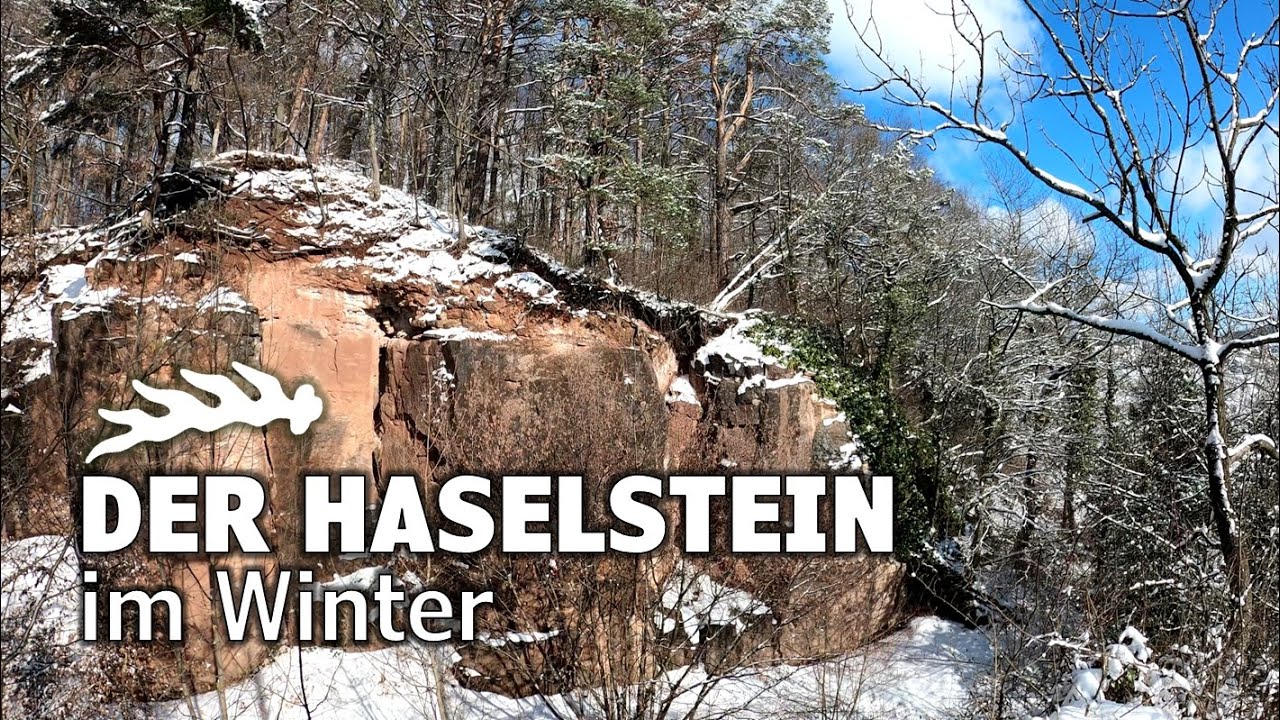 Der Haselstein im Winter - Die Rückkehr zum ehemaligen Steinbruch | Winnenden