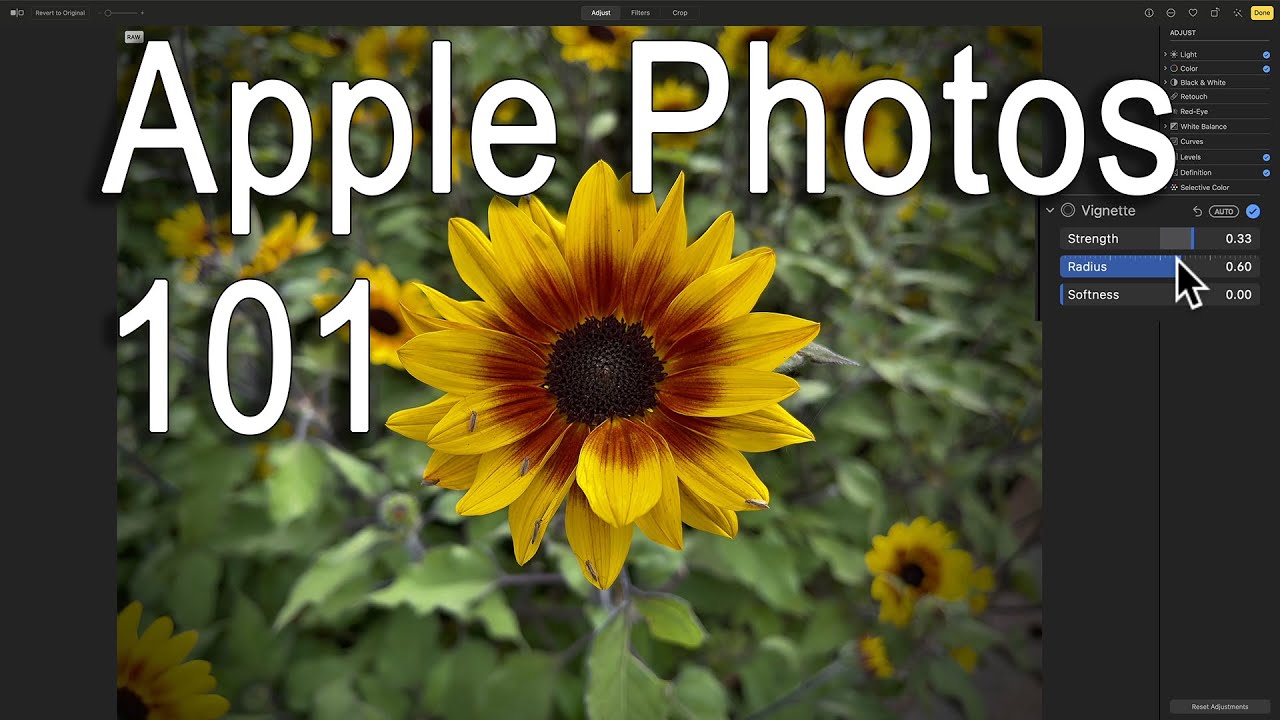 Getting Started Processing iPhone PRORAW FILES in APPLE PHOTOS