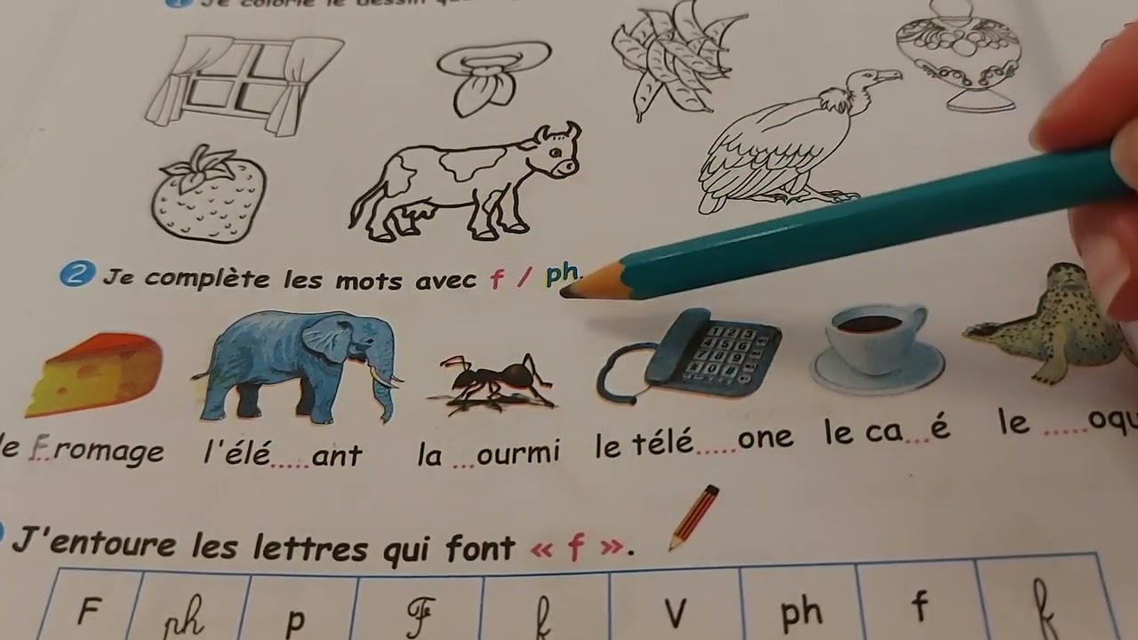 كراس الأنشطة ص 34 فرنسية 3 ابتدائي /Cahier d'activités Français 3AP page 34