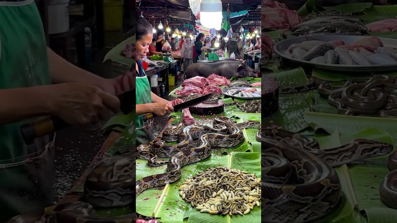 Everyday Life at a wild meet In Market #meatmarket #snake #food #eating #animalsmarket