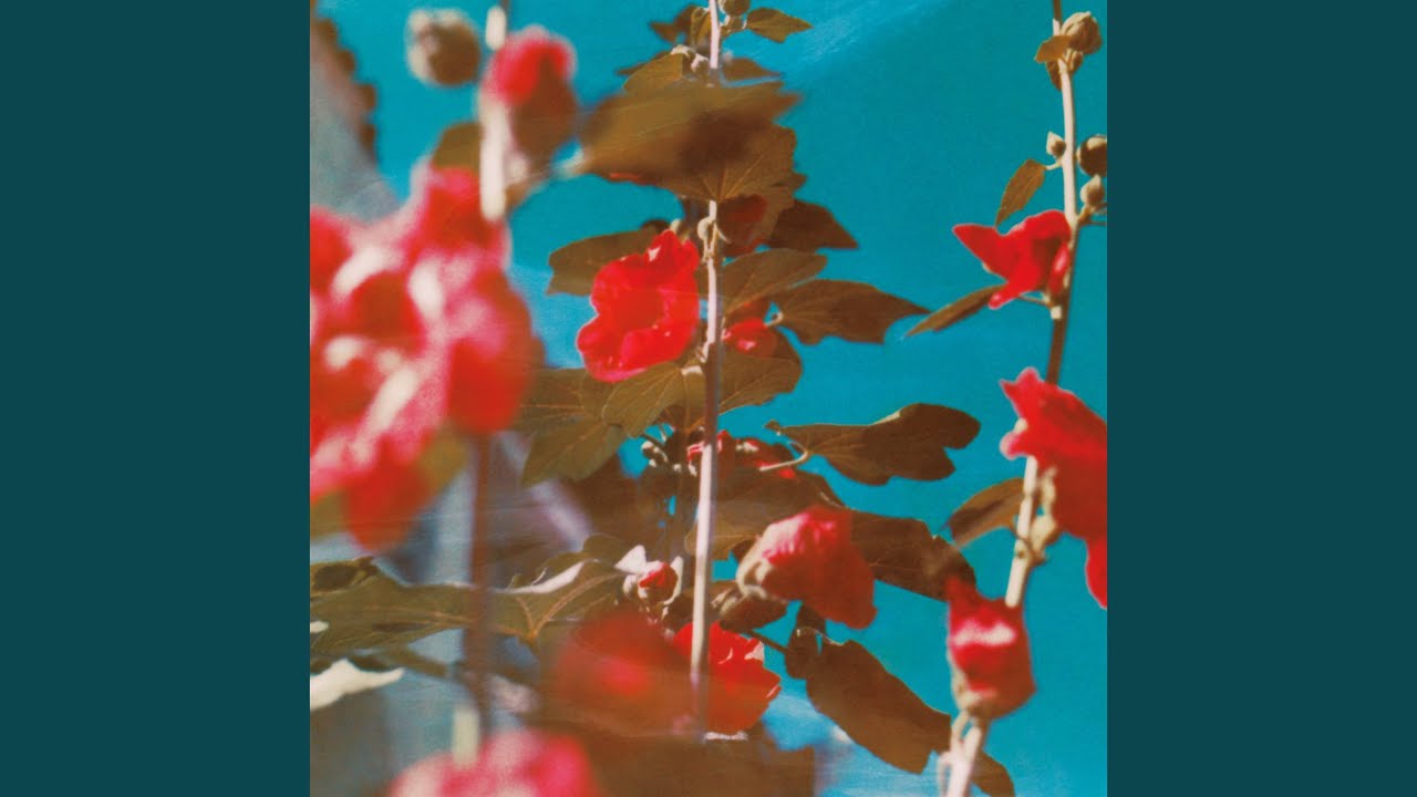 Lawson: fields of forever