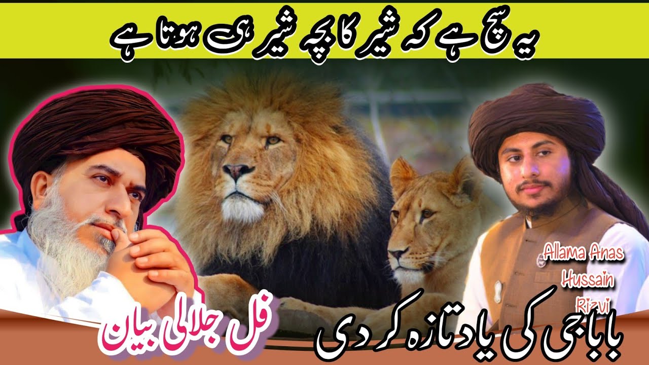 Allama Hafiz Anas Hussain Rizvi new bayan 2025 | Anas Hussain Rizvi | Anas Rizvi