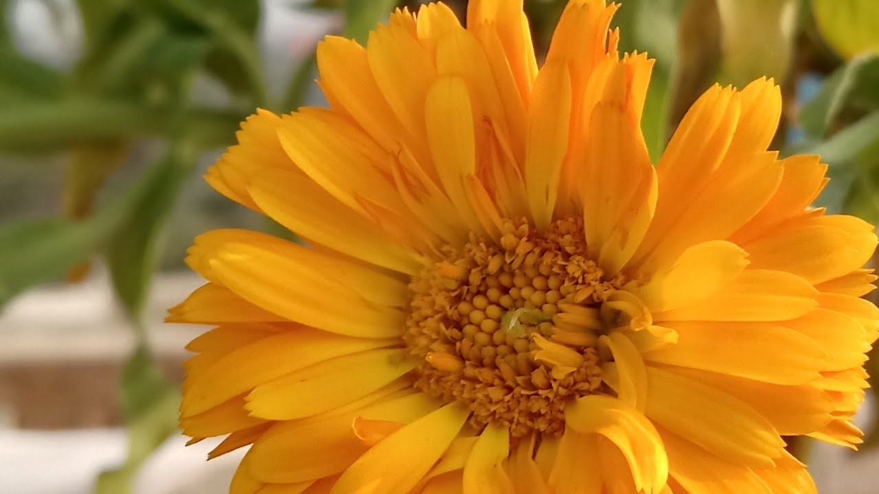 রাতের আড্ডায় চলে এসো বন্ধুরা 💜👈✅