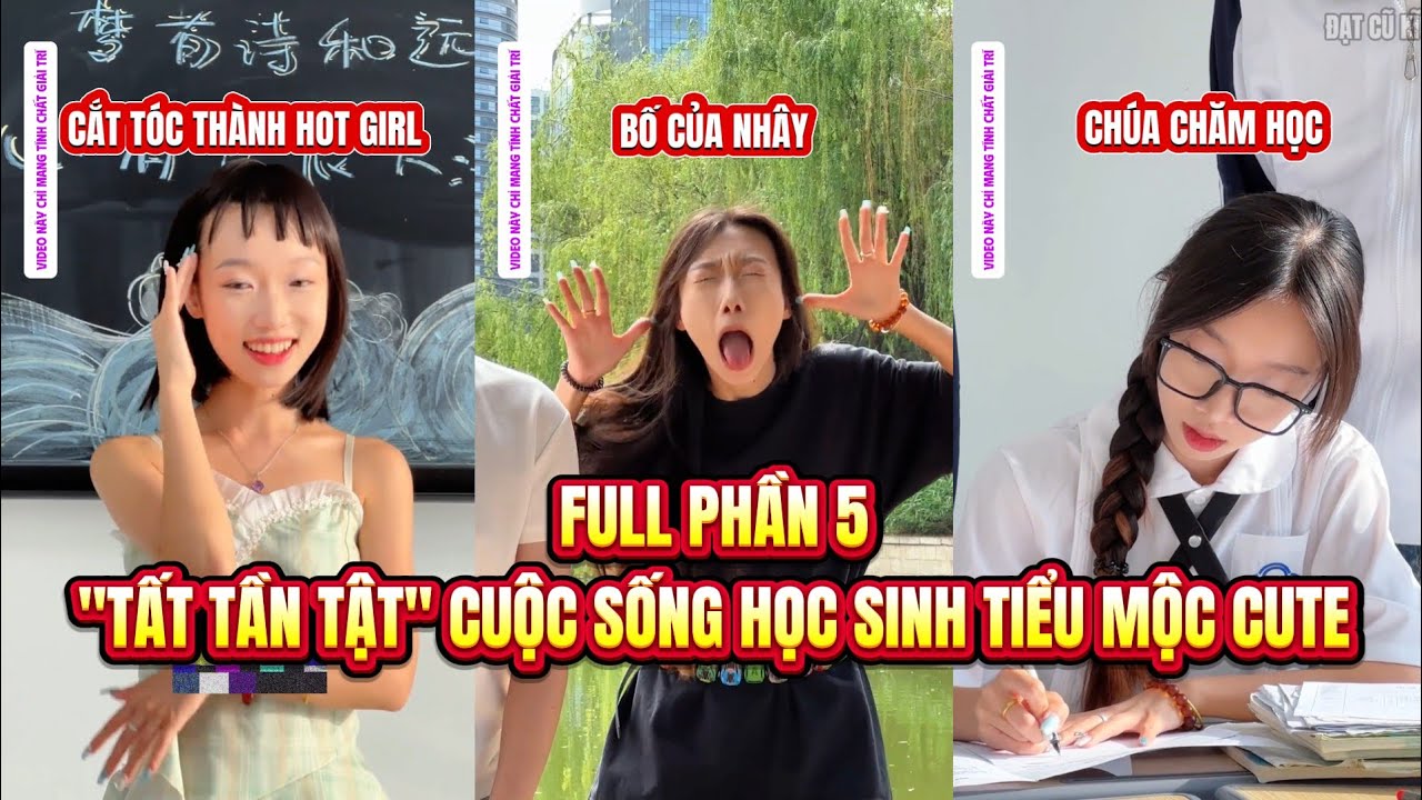 [Phần 5] Cuộc Sống Của Học Sinh Hướng Nội Tiểu Mộc Và Thiên Tài Tiểu Quỳnh | Đạt Cũ Kĩ