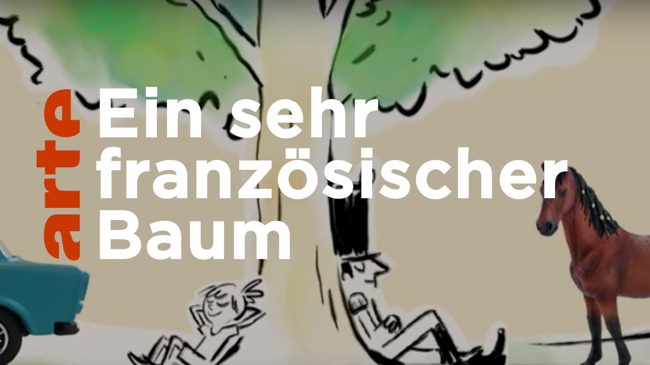 Die Platane | Karambolage | ARTE