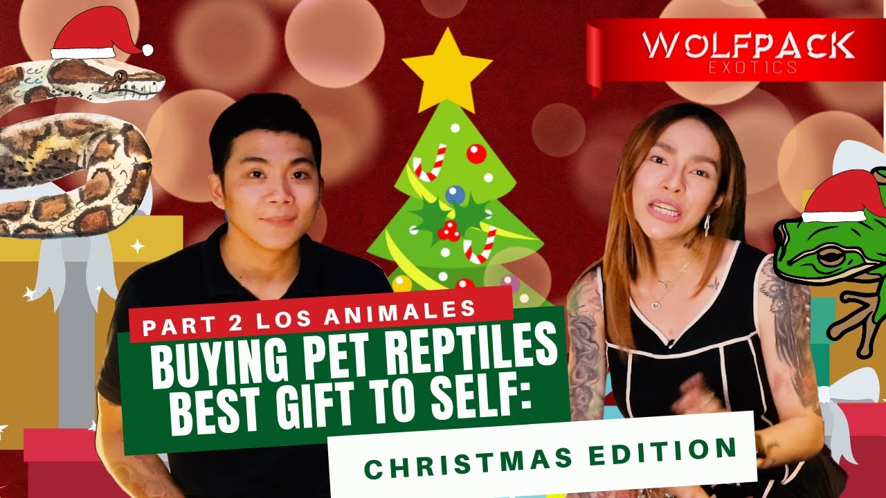 LOS ANIMALES' REPTILE GIFT GUIDE FOR CHRISTMAS | Wolfpack Exotics