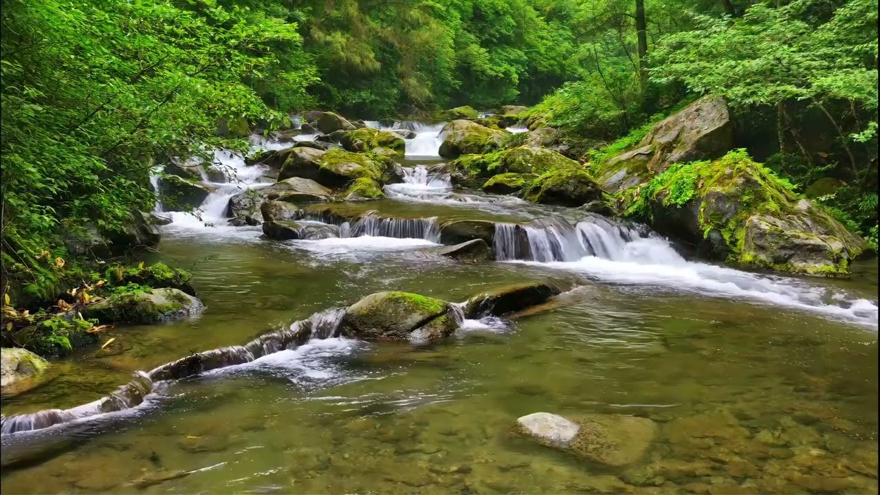 Peaceful Mountain Forest Stream | Anxiety Relief, Stress Relief & Deep Relaxation