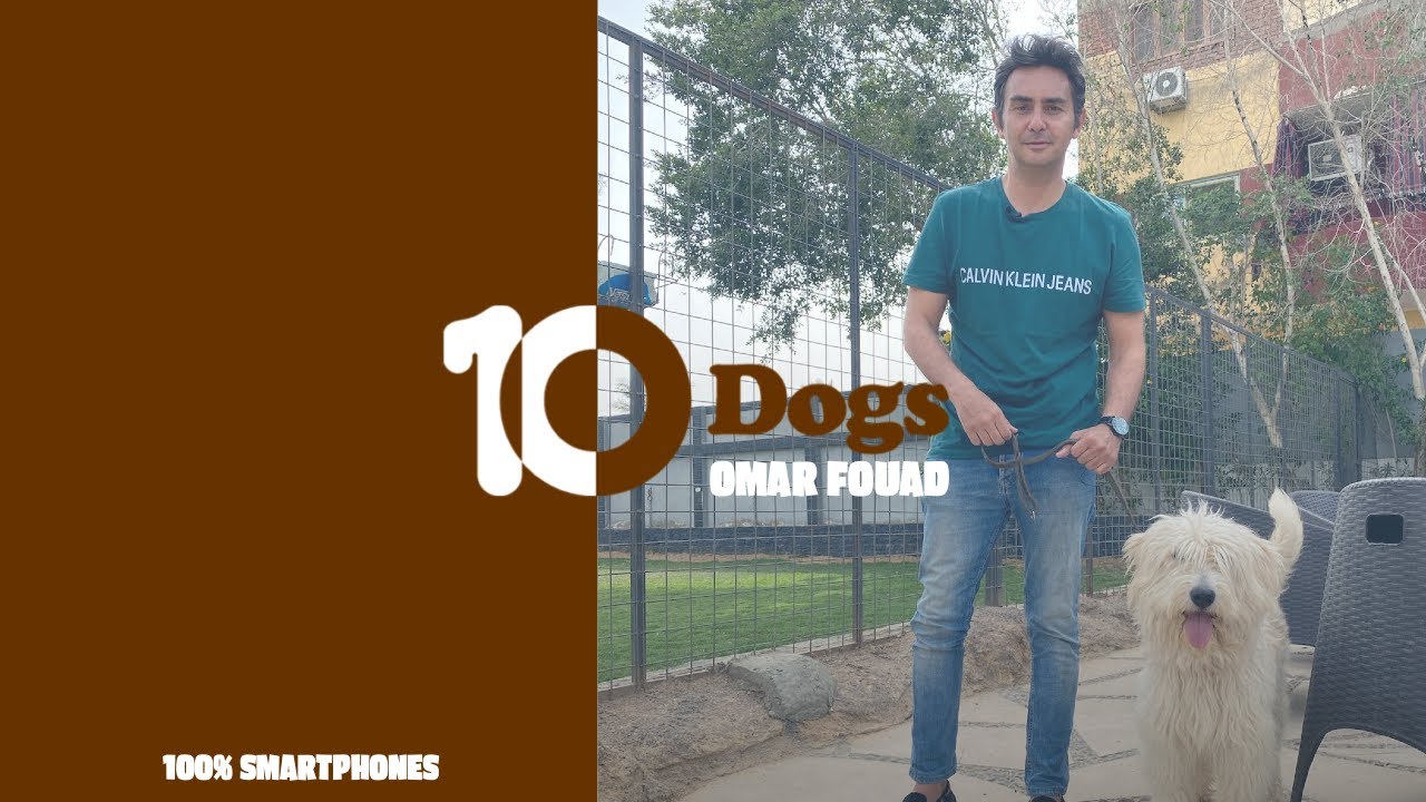 10Dogs | كلب ارمنت الراعي المصري مهدد بالانقراض