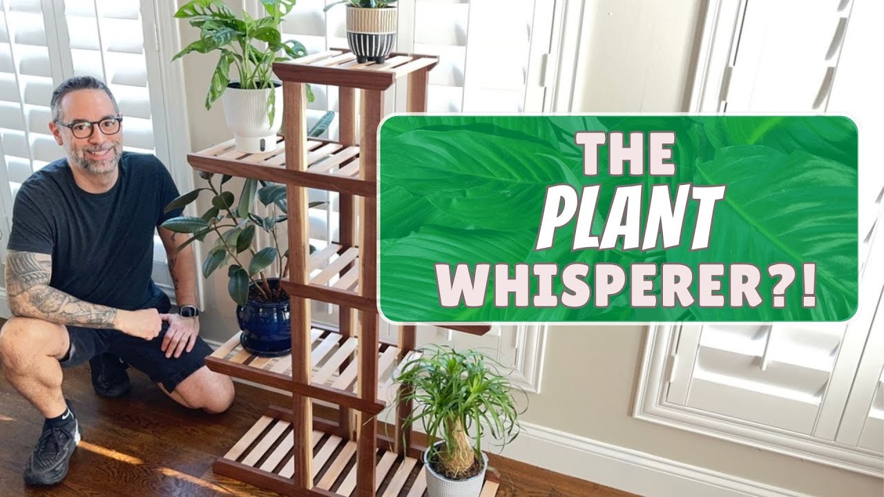 Get Your Green On! Sleek And Modern Plant Stand - Free Plans Available