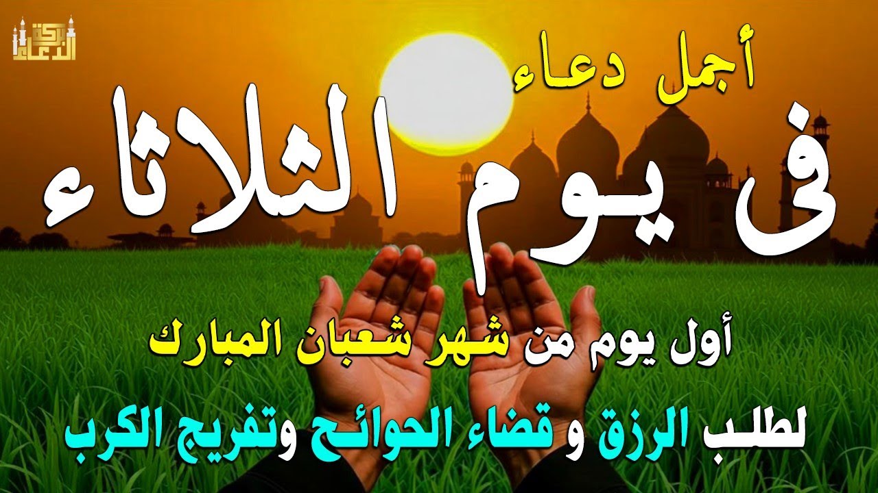 دعاء يوم الاثنين لطلب الرزق وقضاء الدين وتفريج الهم وتيسير الأمور باذن الله🎧😌